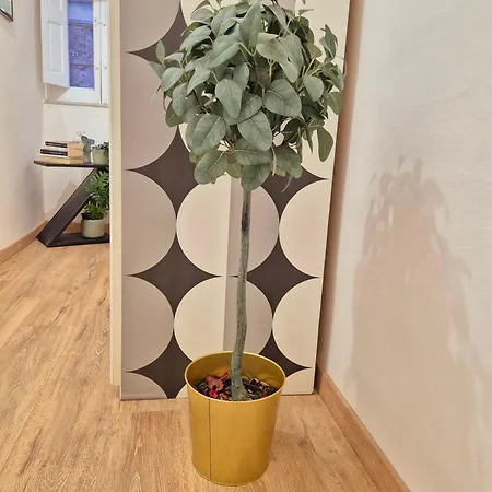 Vakantiehuis Zebra A Pua' Boutique
